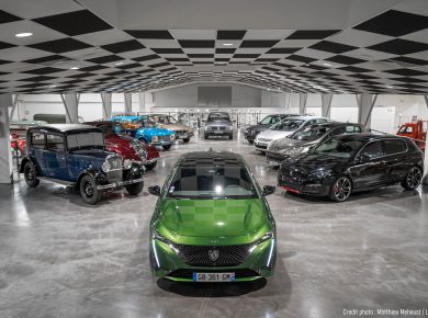 Peugeot Ailesi
